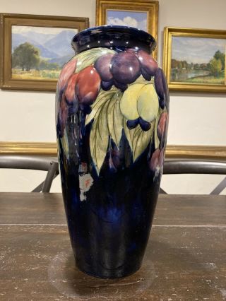 Massive Antique Moorcroft Burslem Pottery Vase Wisteria Cobalt Signed England