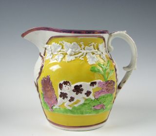Antique Pink Luster Yellow Ground Hunt Jug Pitcher Dogs Pearlware Staffordshire
