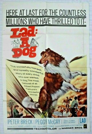 Lad: A Dog Movie Poster 1962 One Sheet Lassie Vg