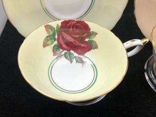 2 Paragon Yellow Peach Signed Johnson Gold Floating Rose Cup & Saucer 2
