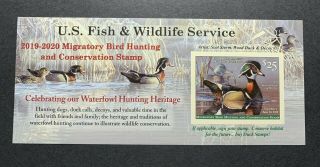 2019 - 2020 - Us Federal Duck Stamp - Migratory Bird Stamp
