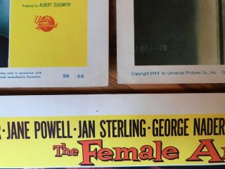3 Lobby Cards 11x14: The Female Animal (1958) Hedy Lamarr,  Jane Powell 3