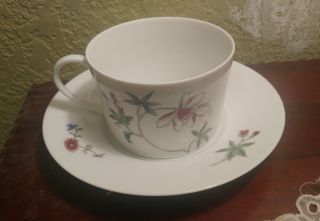 Limoges Ceralene - A Raynaud Et Cie - Flat Bottom Teacup (s) Coffe Cup (s)