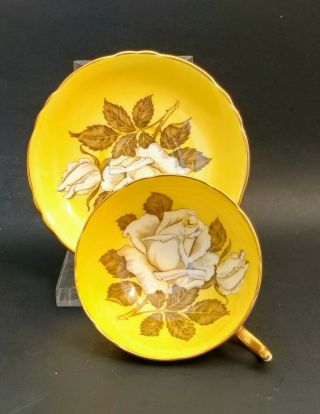 Paragon White Large Cabbage Rose Yellow Teacup Tea Cup Saucer Double Warrant