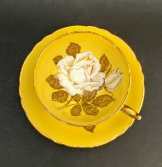 Paragon White Large Cabbage Rose Yellow Teacup Tea Cup Saucer Double Warrant 3