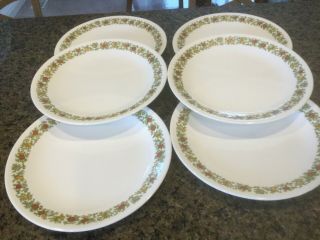 Corelle Spice Of Life Dinner Plates 10 1/4” (set Of 6)