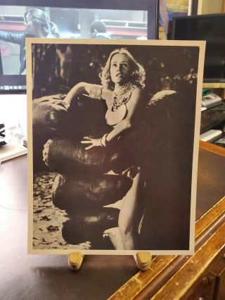 1970s Press Release Movie Non Glossy Photo 8x10 King Kong Jessica Lange Pinup