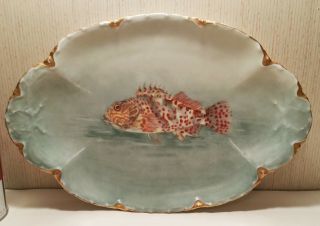 ROCKFISH seafood antique french porcelain serving haviland fish plate painting 2