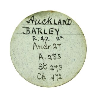 Zealand Auckland Charles C Barley Penny Token 1858 3