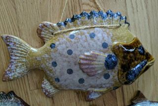 Pottery Fish Grouping Hand Crafted 2