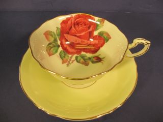 Vintage Yellow Paragon Tea Cup Saucer - Double Warrant - Signed Rose Pattern