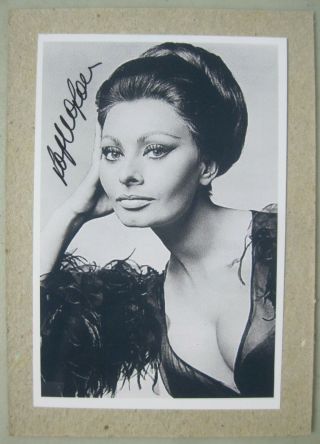 Actress Sophia Loren Signed 4 " X 6 " Photo