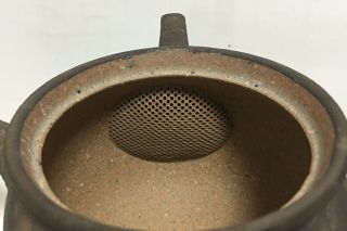 Tokoname Pottery: JUNZO MAEKAWA - Japanese Kyusu tea pot 350cc Ceramic Fine Mesh 2