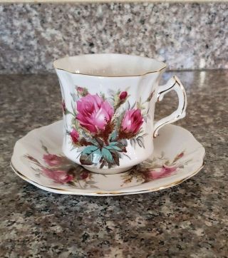 Vintage Worcester Hammersley Bone China Rose Tea Cup And Saucer