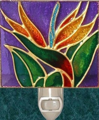 Bird of Paradise Tropical Flower Night Light Wall Plug In Decor Gift Art Glass 2