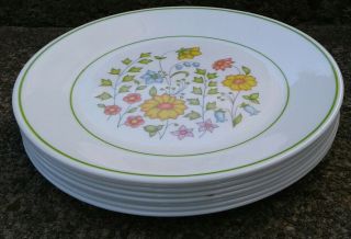 Set Of 8 Corelle Spring Meadow 8 1/2 ” Luncheon Salad Plates Corning Usa