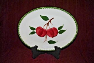 Blue Ridge Southern Pottery - Quaker Apple - 11.  5 " Oval Serving Dish