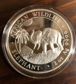 2017 Somalia Silver Elephant - 2 Oz Coin In Capsule - African Wildlife.  9999 Bu