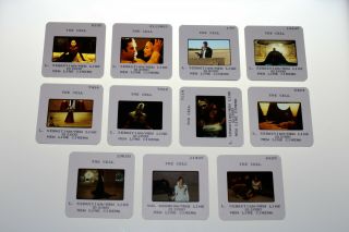 The Cell - 11 Press Kit Slides Jennifer Lopez,  Vince Vaughn,  Vincent D 
