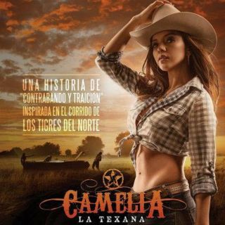 Mexico,  Series,  " Camelia La Texana " Unica Temporada,  10 Dvd,  60 Capitulos,  2014