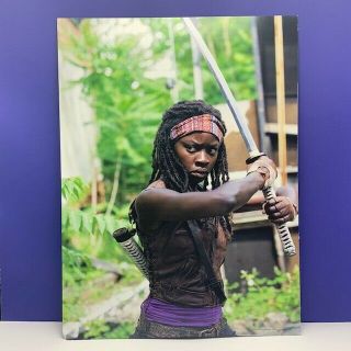 The Walking Dead poster picture photo double sided 16X12 Merle Dixon Michonne 2