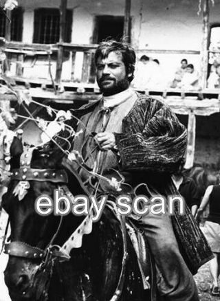 Oliver Reed English Actor Candid On Horse 8x10 Photo 535