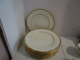 12 Royal Doulton Belvedere 10.  5 " Dinner Plates - Scallop/bead Edge,  Gold Leaf
