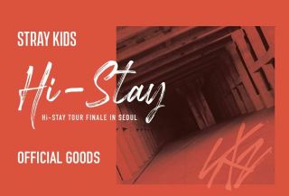 Stray Kids Hi - Stay Tour Finale In Seoul Official Goods Metal Charm Keyring