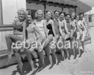 Thelma Todd And Starlets Leggy Cheesecake 8x10 Photo