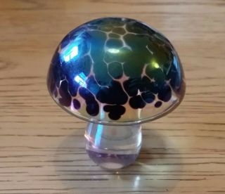 John Ditchfield Glasform Iridescent Mushroom Paperweight