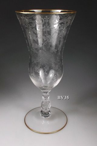 Cambridge Crystal Chantilly Gold Stem 3600 Ice Tea Glass 7 5/8 " Teas