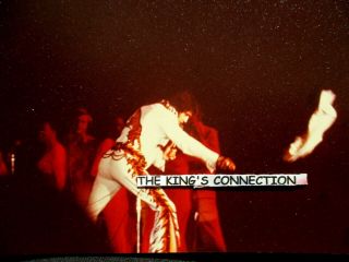- Photo - Elvis Throwing Scarfcaught By Camera Mid - Air - Dayton Ohio 10/05/74