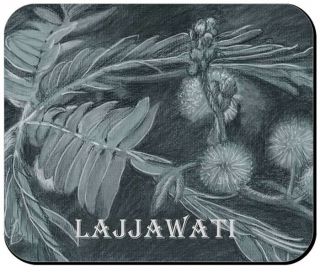 " Mimosa: Lajjawati Plant " Mouse Pad From Charcoal Drawing For Lajjawati