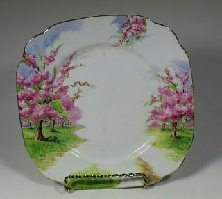 Vintage Royal Albert England Blossom Time Pattern Luncheon Plate