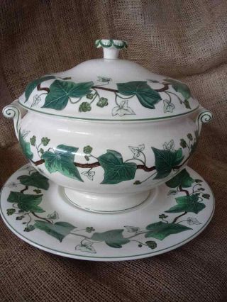 Wedgwood " Napoleon Ivy " Covered Soup Tureen With Lid And Underplate