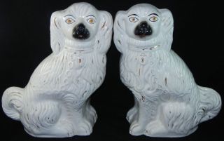 Antique Pair Large Staffordshire Pottery Spaniel Dogs White 13.  5 " Figurines H441