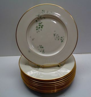 12 Lenox Summer Breeze China 10.  5 " Dinner Plates Cream Color And Trimmed In Gold