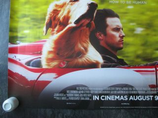 THE ART OF RACING IN THE RAIN UK MOVIE POSTER QUAD DOUBLE - SIDED 2019 3