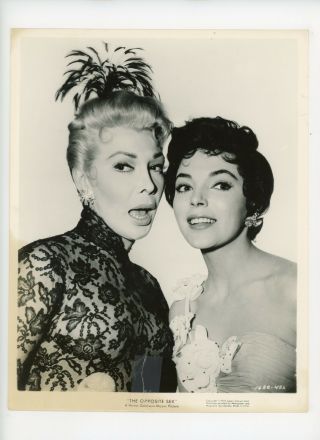 Opposite Sex Movie Still 8x10 Rip With Tape,  Joan Collins 1956 11958