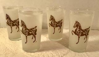 Set Of Four Vintage Frosted Glass Tumblers Tennessee Walking Horse Transfer 5 " H