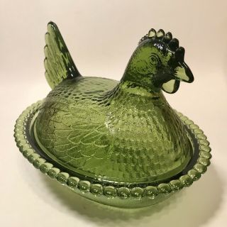 Olive Green Indiana Hen On Nest 3