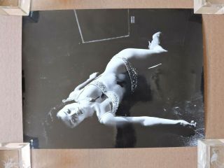 Dany Carrel Busty Bikini Horror Portrait Photo 1960 The Hands Of Orlac