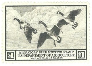 Rw3 1936 - Us Federal Duck Stamp - Mhog - Great Centering