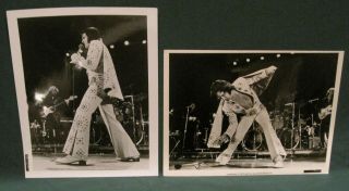 Elvis Presley (2) 8 X 10 B/w Rca Publicity Photo Elvis On Tour 1973