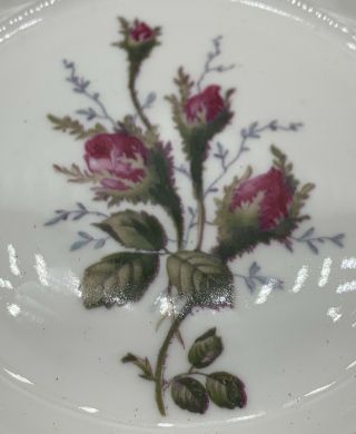 Vintage Selb Germany Rosenthal Moss Rose Approx 5.  5” Sterling Silver Edge Plate 2