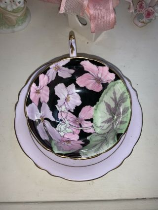 Rare Paragon Teacup Floral (purple & Black)