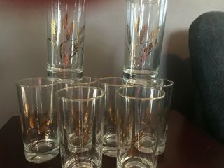 8 Vintage Libbey Wheat 5 1/2 " Gold Rimmed Bar Cocktail Glasses Mid Century