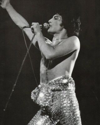 Freddie Mercury Unsigned Photograph - L3020 - On Stage - Image
