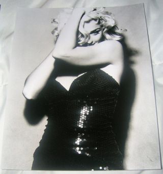 Madonna Photo 8x10 B&w Glossy 1991 Vintage Sex 90s Truth Or Dare Promo Virgin