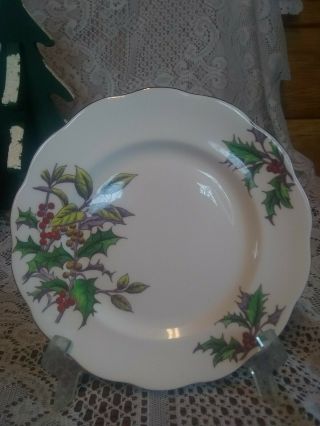 Vintage Royal Albert Flower Of The Month No.  12 Holly Hand Painted 8 " Plate